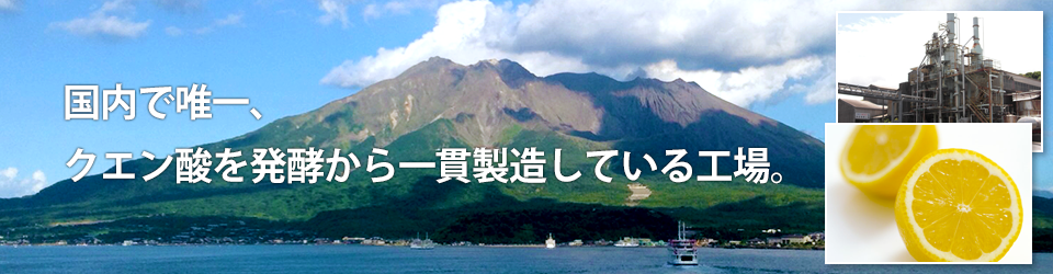 国内で唯一、クエン酸を発酵から一貫製造している工場。
